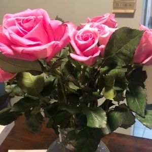 Meet your Posher, Juanita